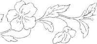 FLM006H.JPG