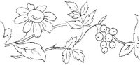 FLM006G.JPG