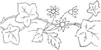 FLM006E.JPG