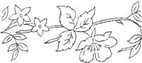 FLM006D.JPG