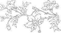 FLM005B.JPG