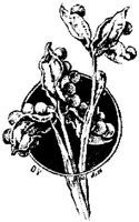 EAC094G.JPG