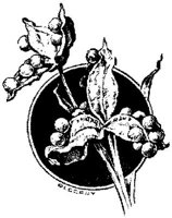 EAC094C.JPG
