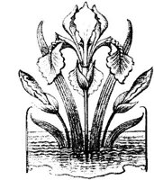 EAC090E.JPG