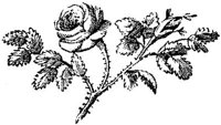 EAC003J.JPG