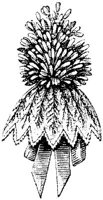 EAC001WW.JPG