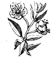 EAC001V.JPG