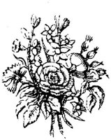EAC001R.JPG