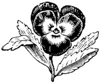 EAC001N.JPG