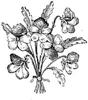 EAC001MM.JPG