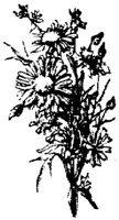 EAC001L.JPG
