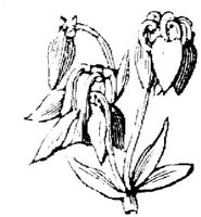 EAC001KK.JPG