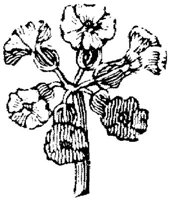 EAC001JJ.JPG