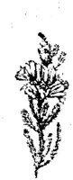 EAC001I.JPG