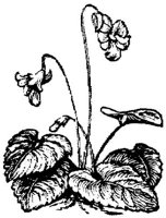 EAC001HH.JPG