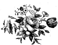 EAC001E.JPG