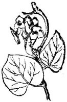 EAC001B.JPG