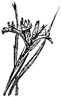 EAC001A.JPG