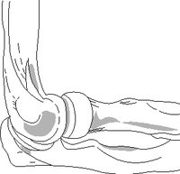 KNEE.WMF