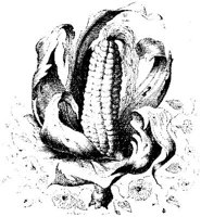 VSI059A.JPG
