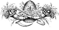 VSI058I.JPG