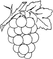 FLM115B.JPG