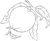 FLM112E.JPG