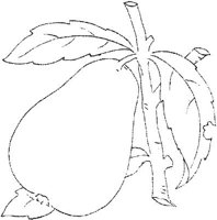 FLM112C.JPG