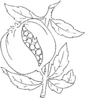 FLM112A.JPG