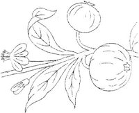 FLM014F.JPG