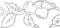 FLM009G.JPG