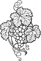 FDD117I.JPG