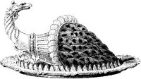 FDD100C.JPG