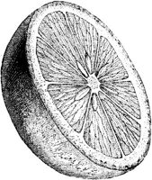 FDD092H.JPG