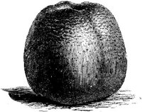 FDD092E.JPG