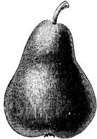 FDD092D.JPG