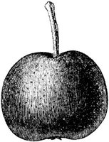 FDD092B.JPG