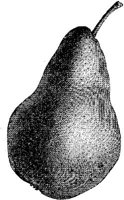 FDD091G.JPG