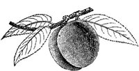 FDD091F.JPG