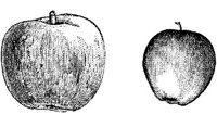 FDD091C.JPG