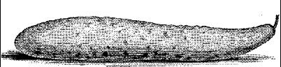 FDD089D.JPG