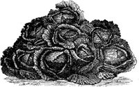 FDD088F.JPG