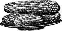 FDD088D.JPG