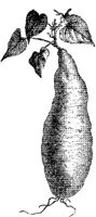 FDD087I.JPG