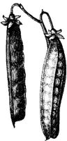 FDD087F.JPG