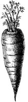 FDD087B.JPG