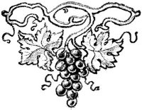 EAC048D.JPG