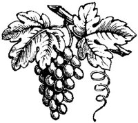 EAC047M.JPG