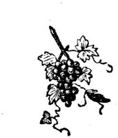 EAC047E.JPG
