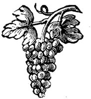 EAC047B.JPG